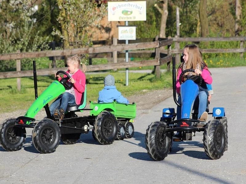 فيلا Schneiderhof Urlaub Auf Dem Bauernhof بيرناو ام شيمسي المظهر الخارجي الصورة